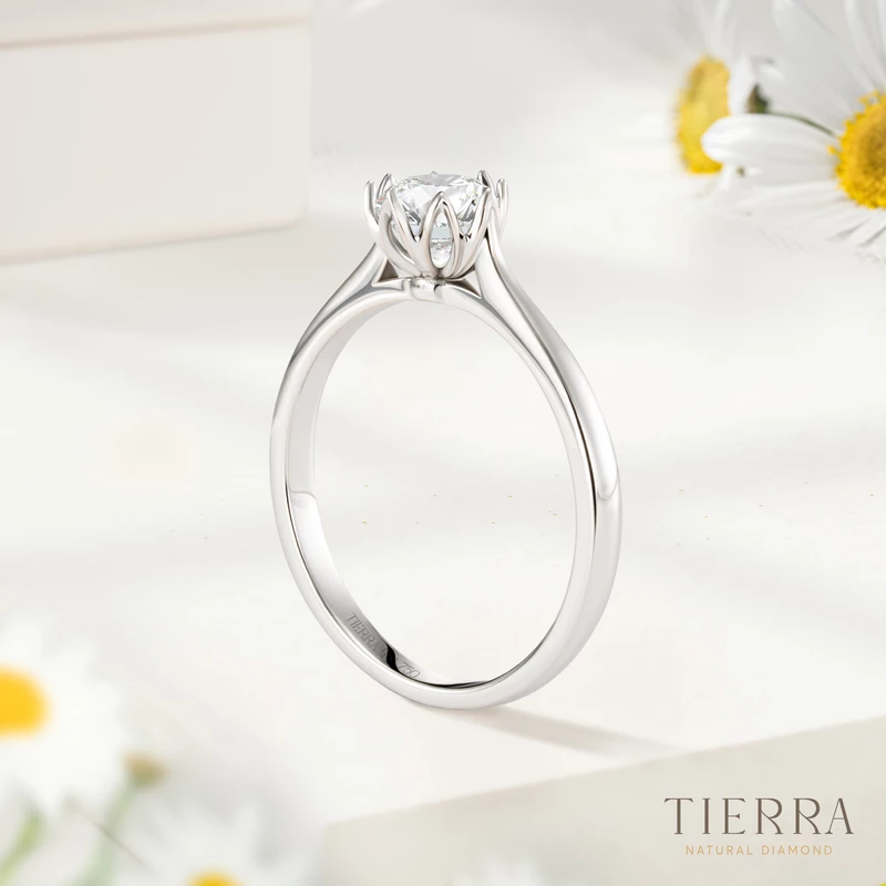 Nhẫn cầu hôn bạch kim kim cương Cathedral Floral đai trơn NCH1513